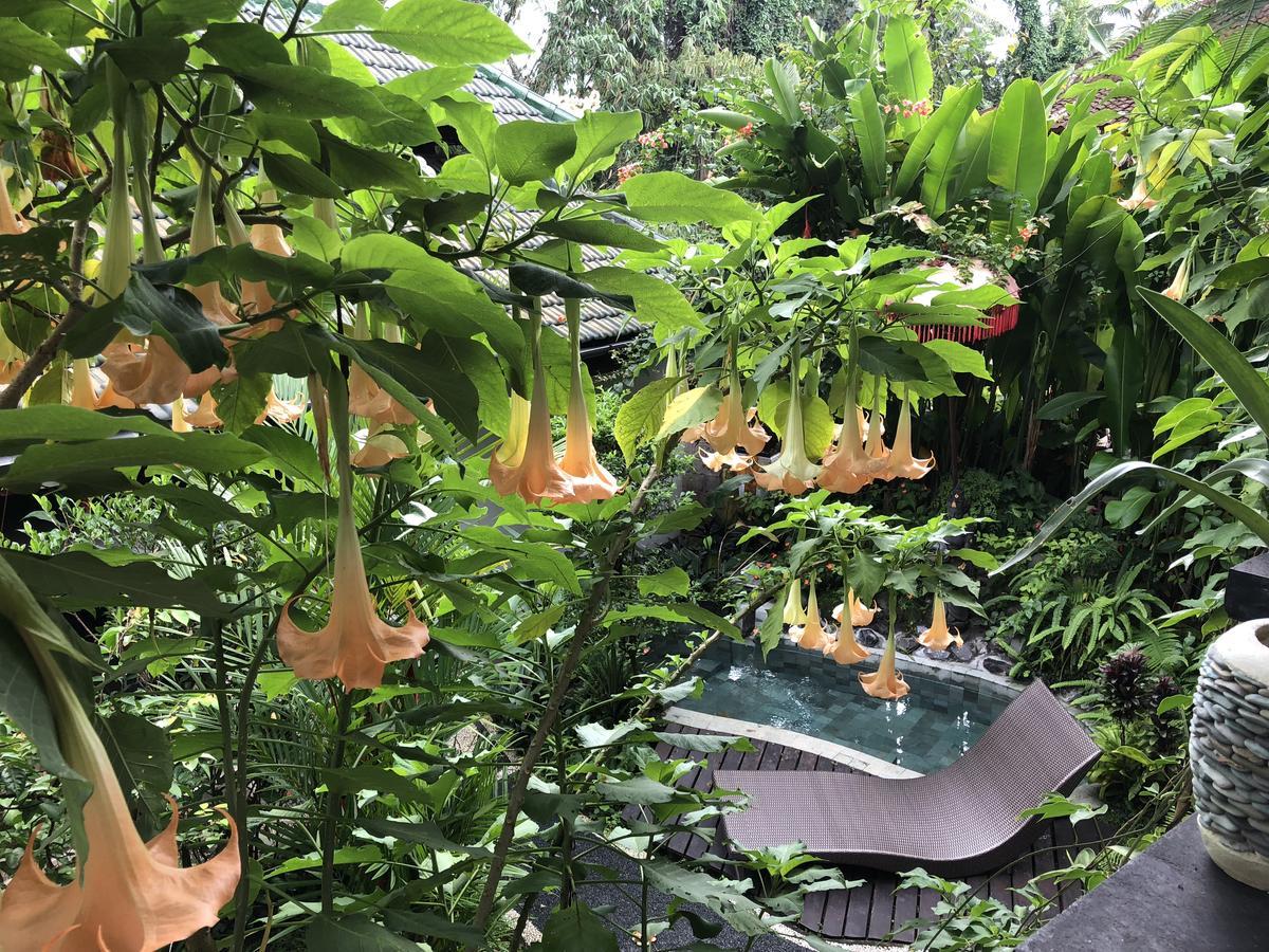 White Lotus Oasis Otel Ubud Dış mekan fotoğraf